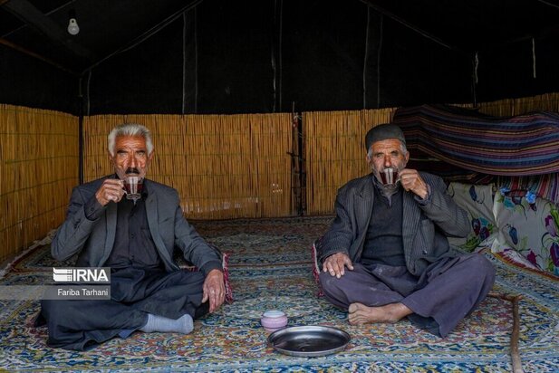 ییلاق عشایر بختیاری