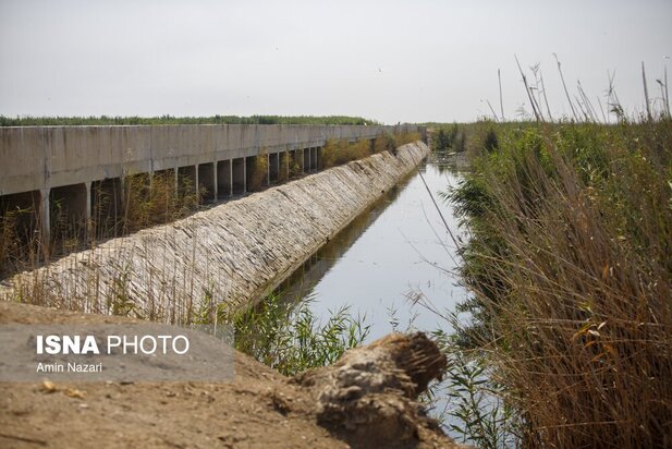 تالاب هورالعظیم