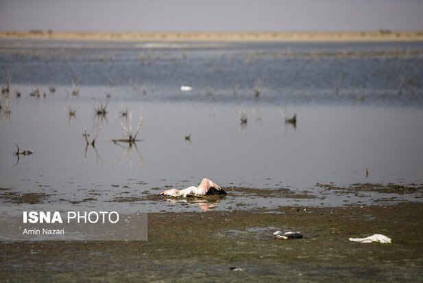 تالاب هورالعظیم