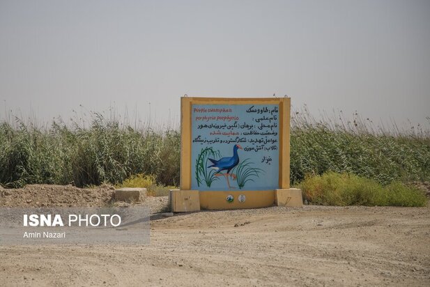 تالاب هورالعظیم