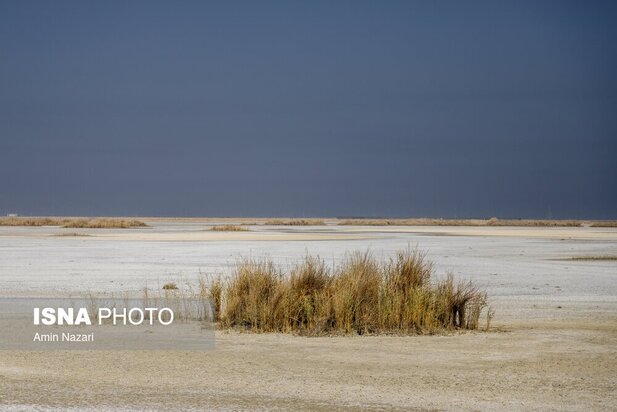 تالاب هورالعظیم