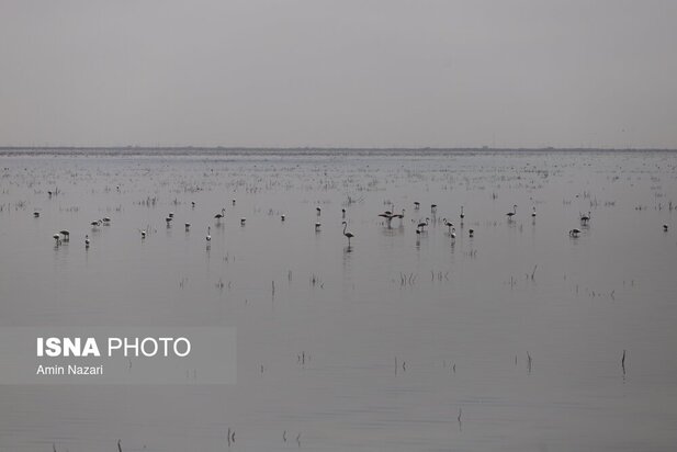 تالاب هورالعظیم