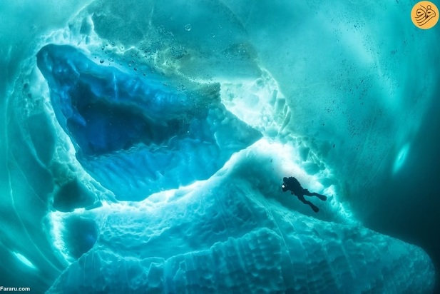 برندگان مسابقه عکاسی اقیانوس در سال ۲۰۲۳ 