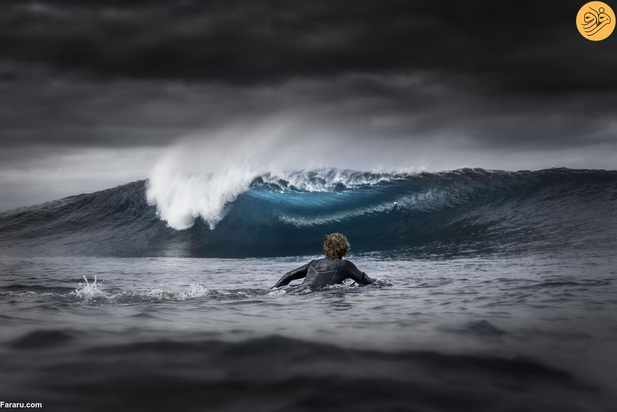 برندگان مسابقه عکاسی اقیانوس در سال ۲۰۲۳ 