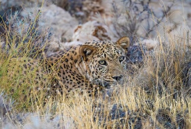 نمایی زیبا از پارک ملی در شیراز