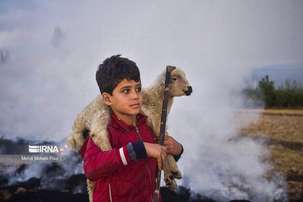 تصاویری از دامداری در روستاهای مازندران