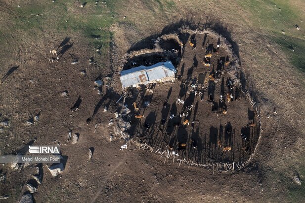 تصاویری از دامداری در روستاهای مازندران