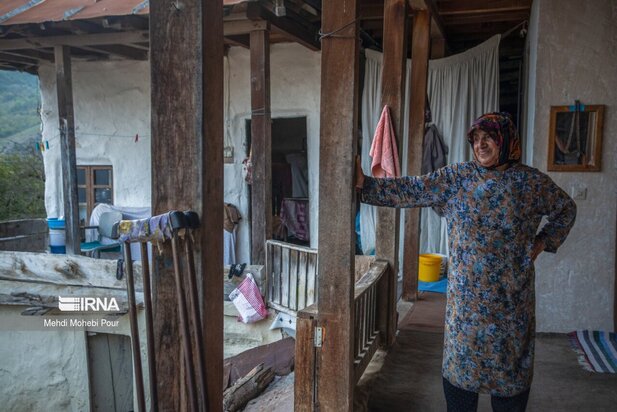 تصاویری از دامداری در روستاهای مازندران