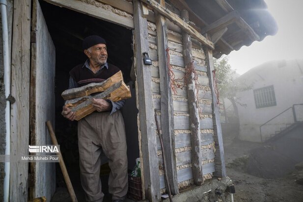تصاویری از دامداری در روستاهای مازندران