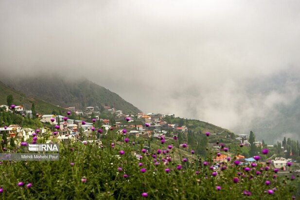 تصاویری از دامداری در روستاهای مازندران