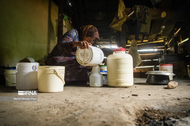 تصاویری از دامداری در روستاهای مازندران