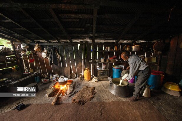 تصاویری از دامداری در روستاهای مازندران
