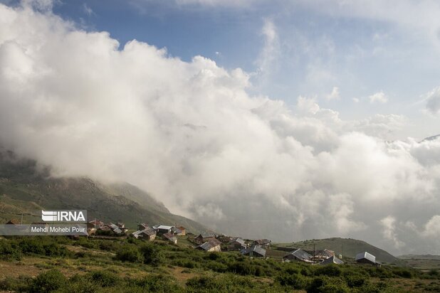 تصاویری از دامداری در روستاهای مازندران