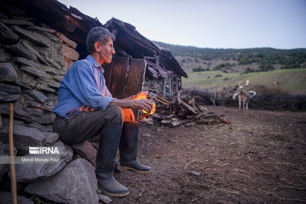 تصاویری از دامداری در روستاهای مازندران