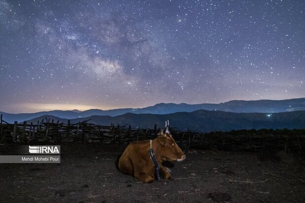 تصاویری از دامداری در روستاهای مازندران