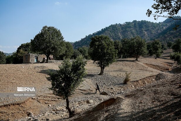 تصاویر مدرسه تک کلاسه حره دان