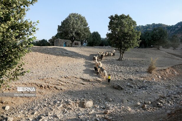تصاویر مدرسه تک کلاسه حره دان