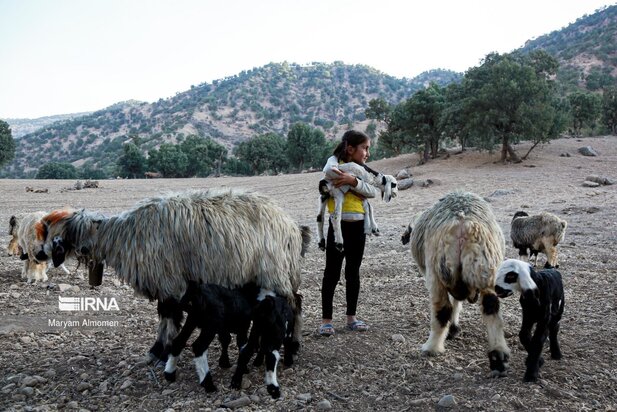 تصاویر مدرسه تک کلاسه حره دان