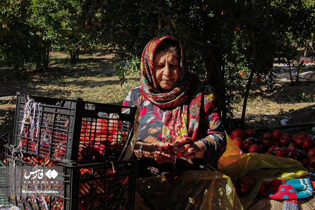 انارچینی در محمودآباد فیروزکوه