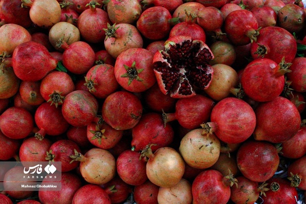 انارچینی در محمودآباد فیروزکوه