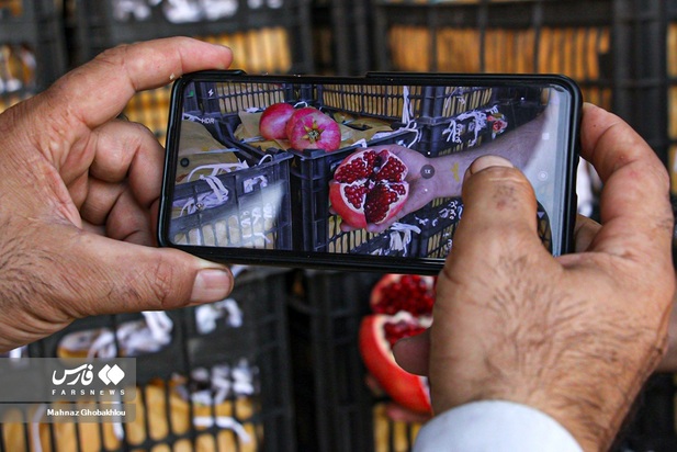 انارچینی در محمودآباد فیروزکوه