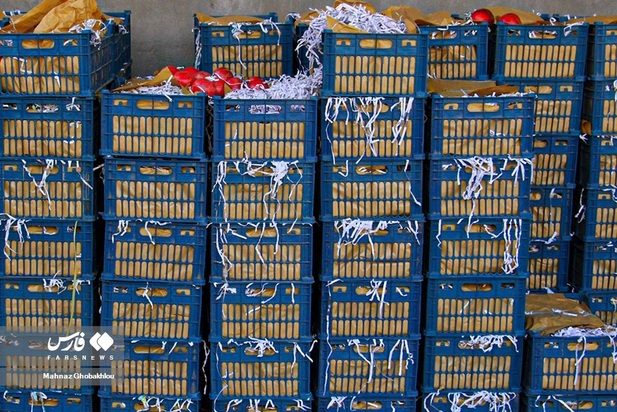 انارچینی در محمودآباد فیروزکوه