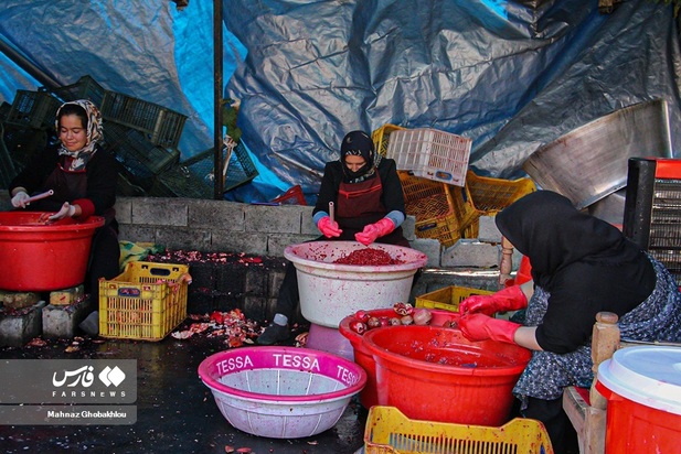 انارچینی در محمودآباد فیروزکوه