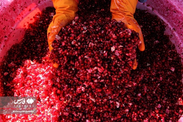 انارچینی در محمودآباد فیروزکوه