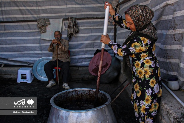 انارچینی در محمودآباد فیروزکوه