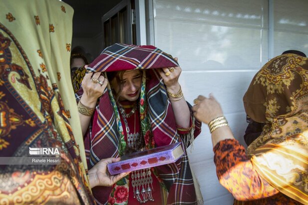 نمایی از عروسی متفاوت و زیبای گلستان!