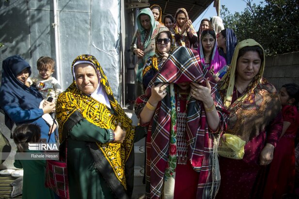 نمایی از عروسی متفاوت و زیبای گلستان!
