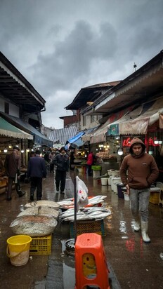 تصاویری از  بازار جذاب محلی ماهی‌فروشان رشت