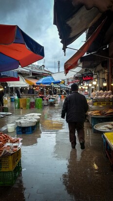 تصاویری از  بازار جذاب محلی ماهی‌فروشان رشت