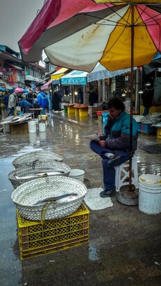 تصاویری از  بازار جذاب محلی ماهی‌فروشان رشت