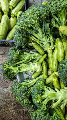 تصاویری از  بازار جذاب محلی ماهی‌فروشان رشت