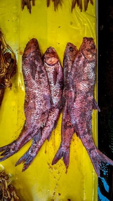 تصاویری از  بازار جذاب محلی ماهی‌فروشان رشت