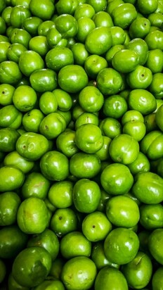 تصاویری از  بازار جذاب محلی ماهی‌فروشان رشت