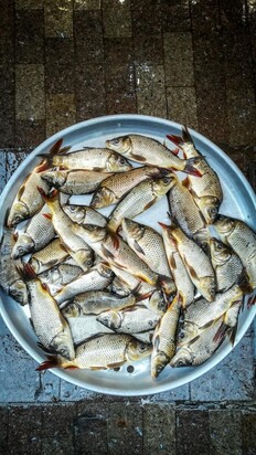 تصاویری از  بازار جذاب محلی ماهی‌فروشان رشت