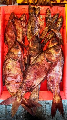 تصاویری از  بازار جذاب محلی ماهی‌فروشان رشت