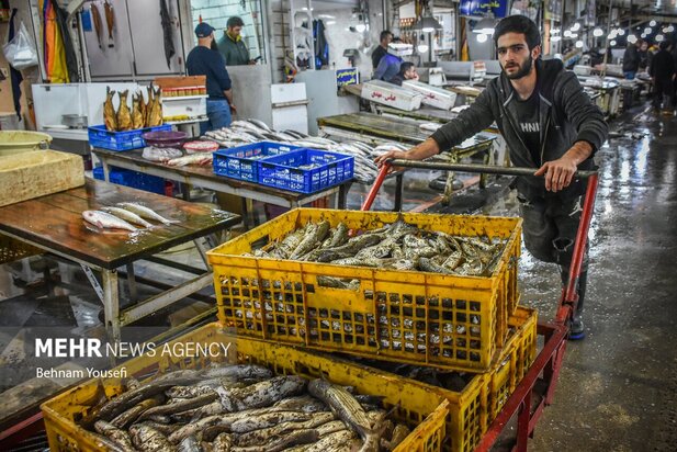 تصاویری از  بازار جذاب محلی ماهی‌فروشان رشت