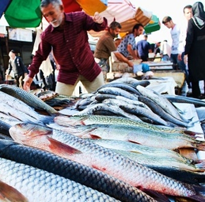 تصاویری از  بازار جذاب محلی ماهی‌فروشان رشت