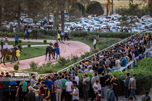 مسابقه اسب سواری گنبدکاووس