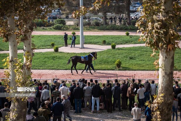 مسابقه اسب سواری گنبدکاووس