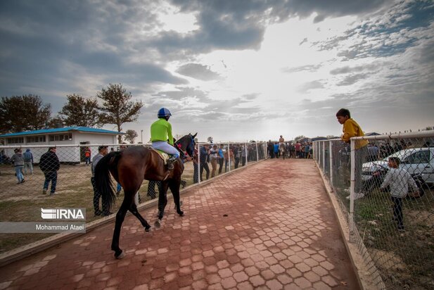 مسابقه اسب سواری گنبدکاووس