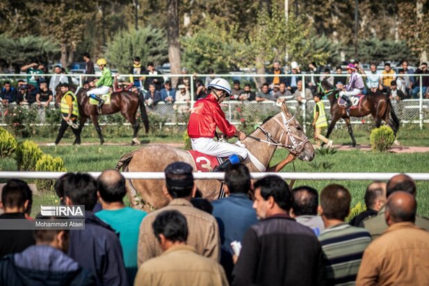 مسابقه اسب سواری گنبدکاووس