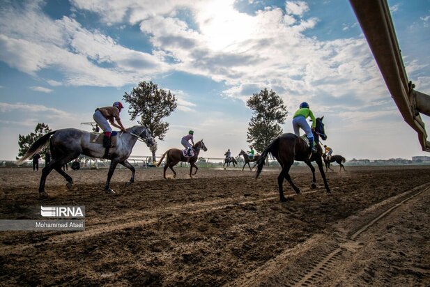 مسابقه اسب سواری گنبدکاووس