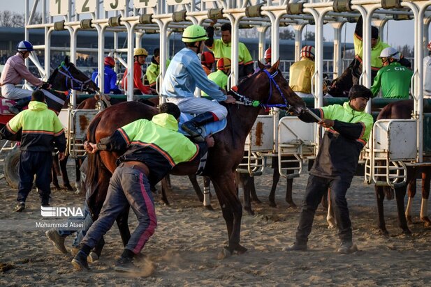 مسابقه اسب سواری گنبدکاووس