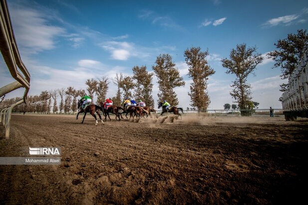 مسابقه اسب سواری گنبدکاووس