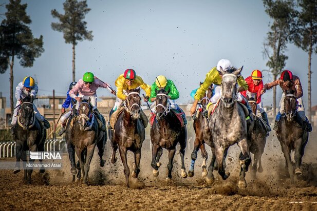 مسابقه اسب سواری گنبدکاووس