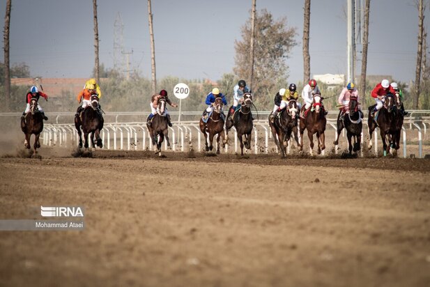 مسابقه اسب سواری گنبدکاووس